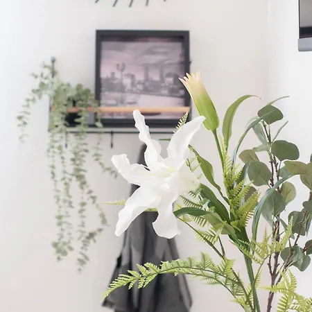Apartment Casa Bax *