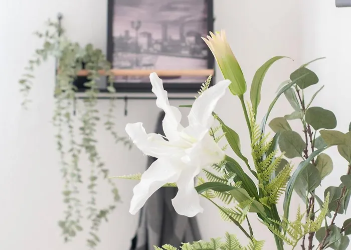 Apartamento Casa Bax *